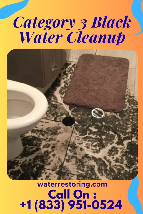 Category 3 Black Water Cleanup in Brockton, MA
