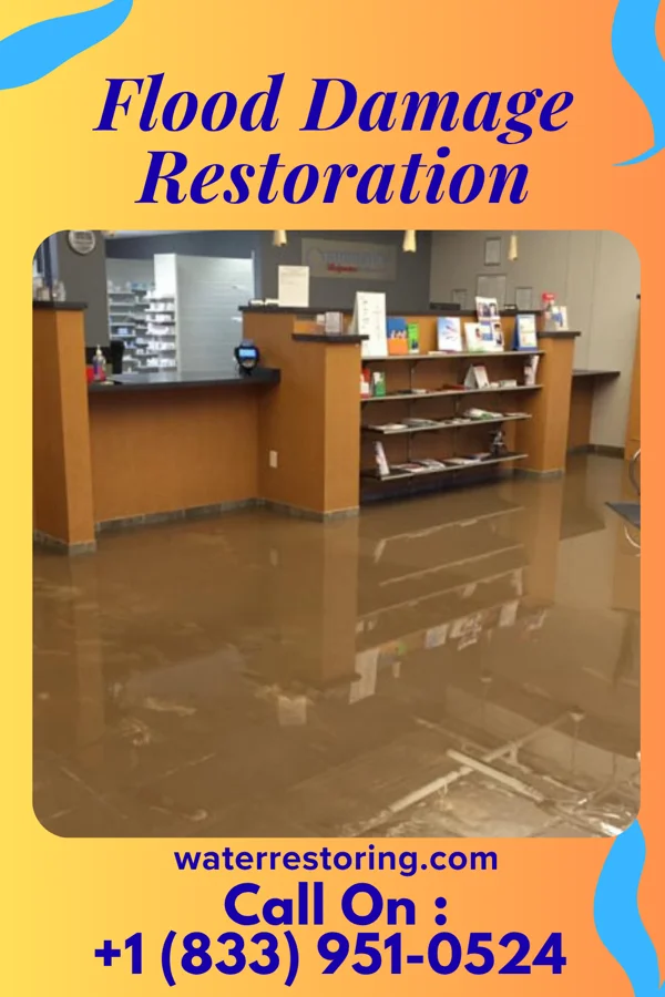 Flood Damage Restoration in Brockton, MA