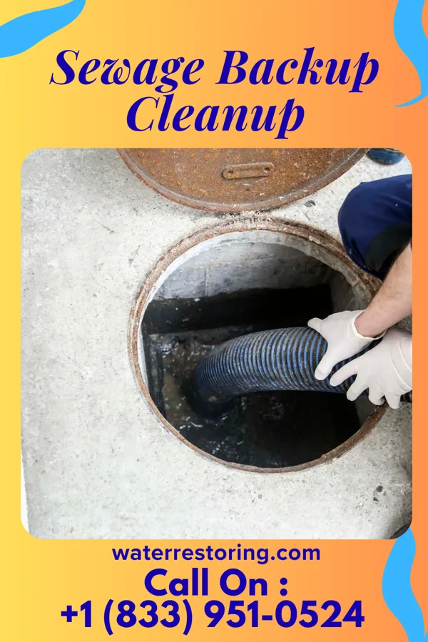Sewage Backup Cleanup in Brockton, MA